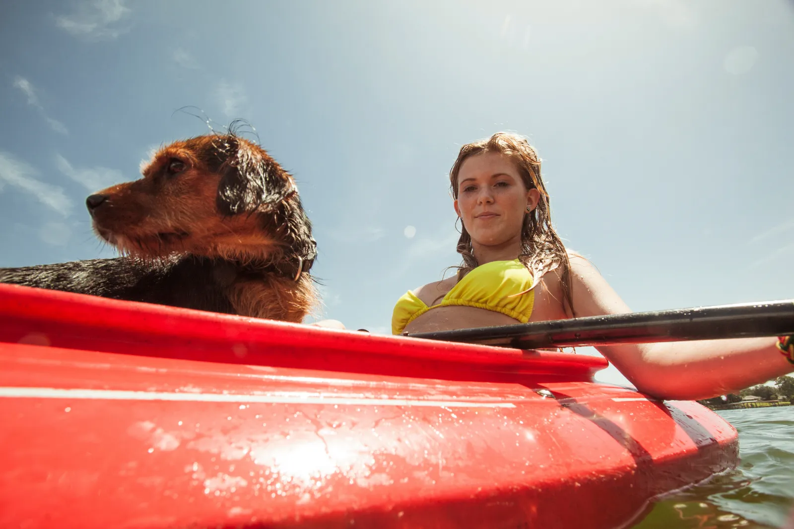 Les Meilleurs Endroits Pour Faire Du Canoë Kayak Avec Votre Chien En Été