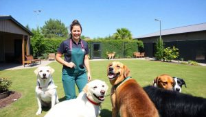 Comment faire garder son chien pendant les vacances ?